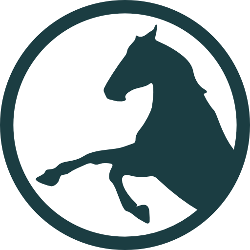 Passion for Horses