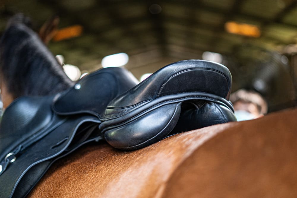Saddles