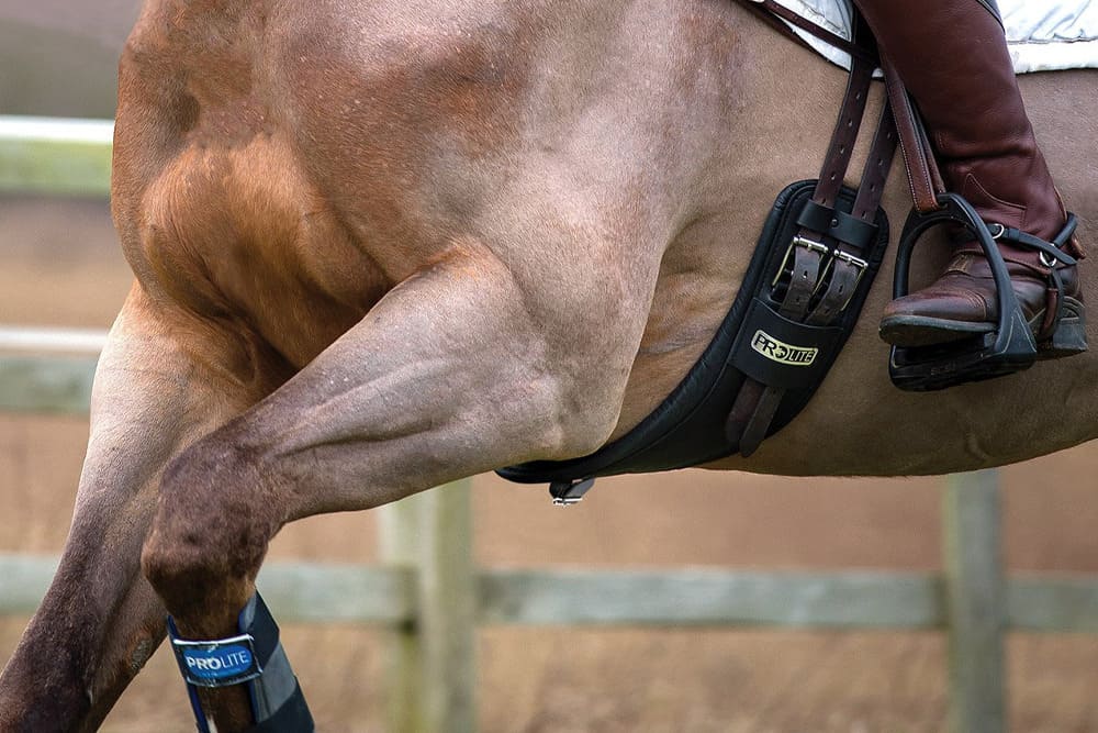 Tack and Equipment