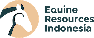 ERI logo