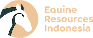 ERI logo